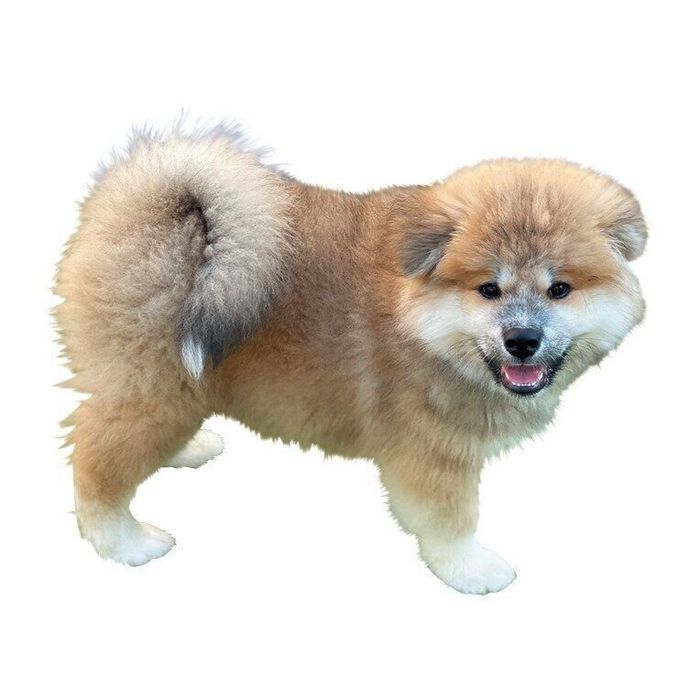 ゆる巻き