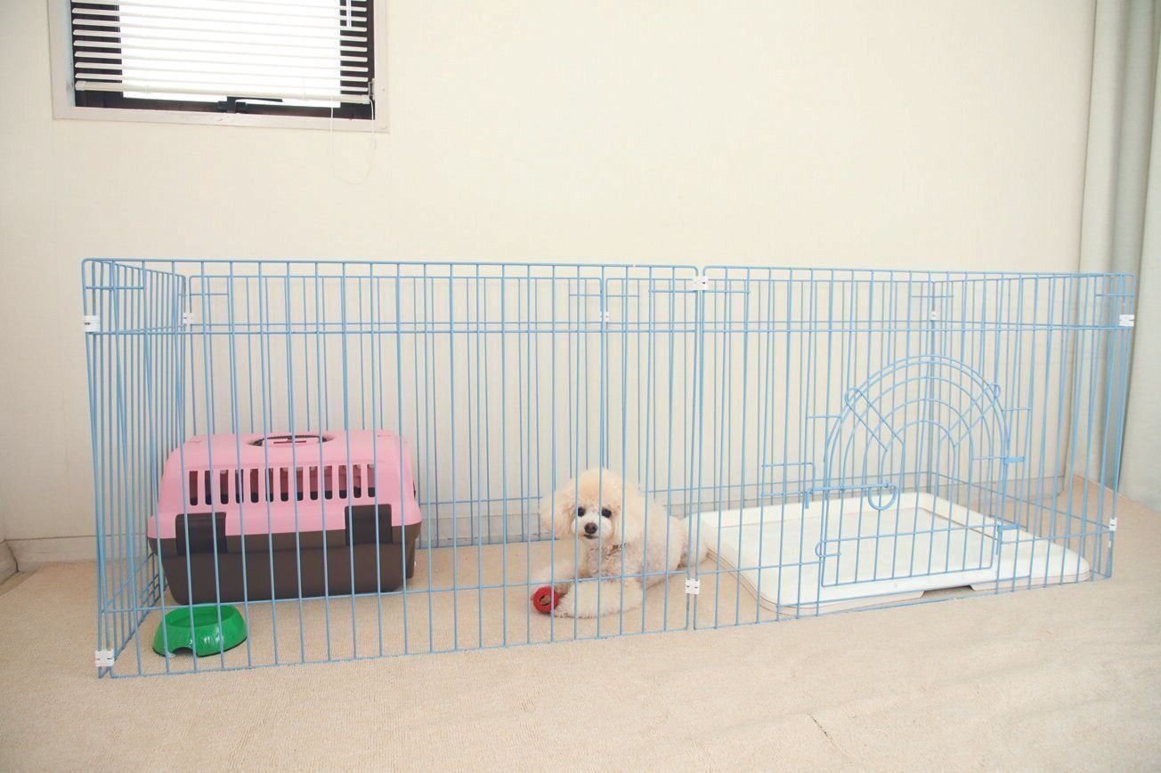 撮影／尾﨑たまき