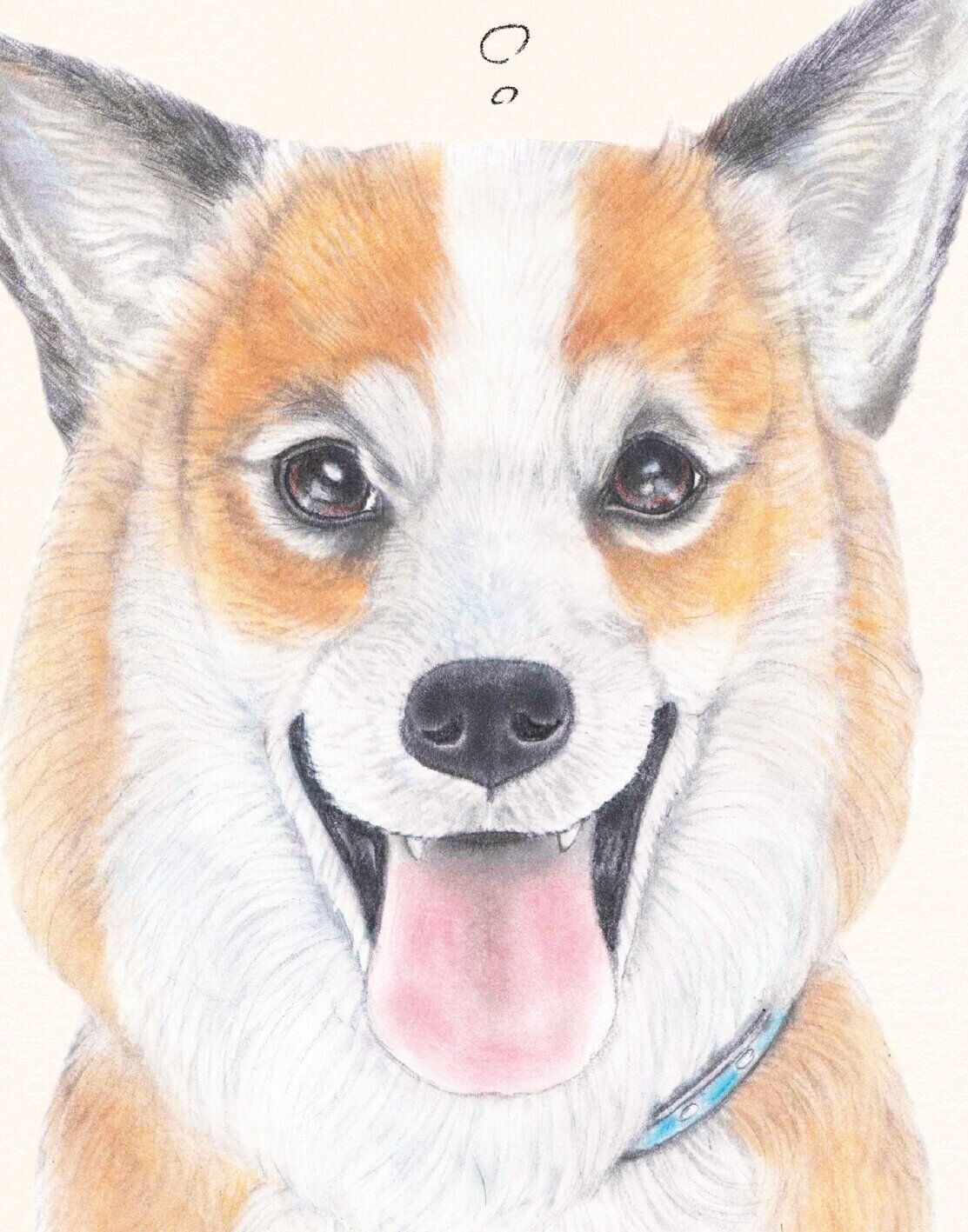 イラスト／くるみ るか