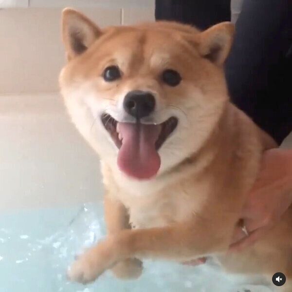 お風呂中の豆千代くん