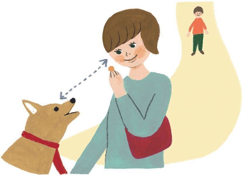 イラスト／macco