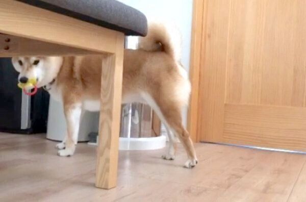 「おしゃぶり」を盗むこてつくん