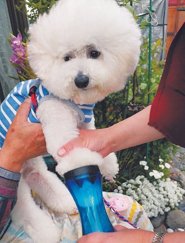 写真提供／飼い主さん