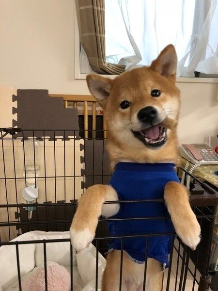 おやつをもらって嬉しそうなジャックくん