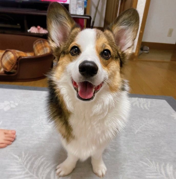 笑顔が可愛いこたろうくん