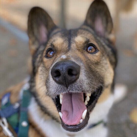 ウニくん（Mix）