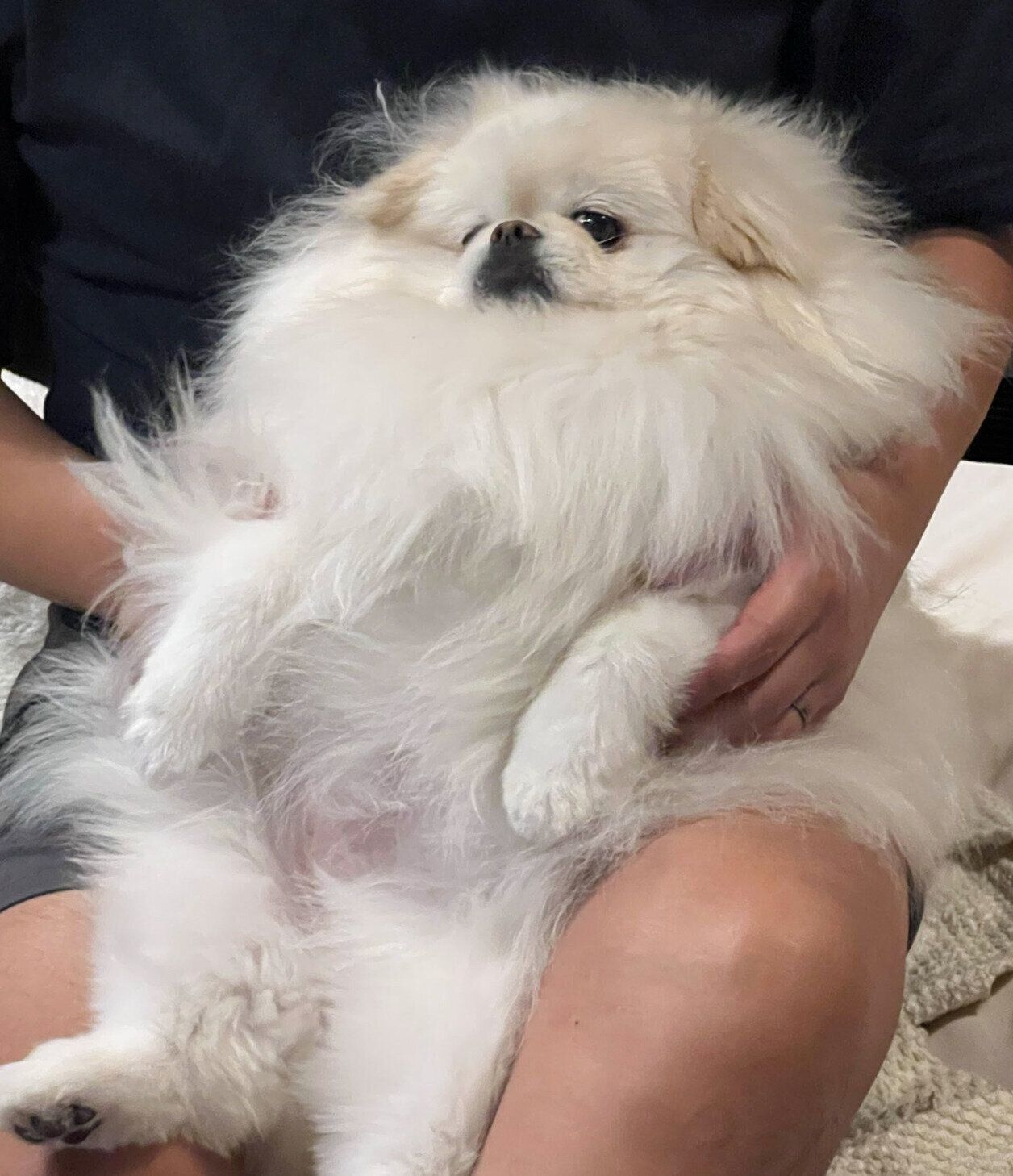 まったりするなんこつちゃん