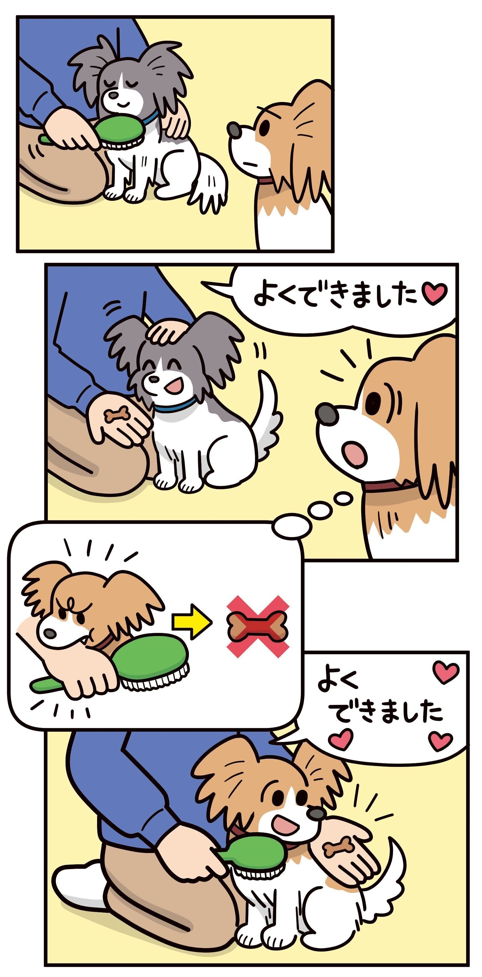 イラスト／コルシカ