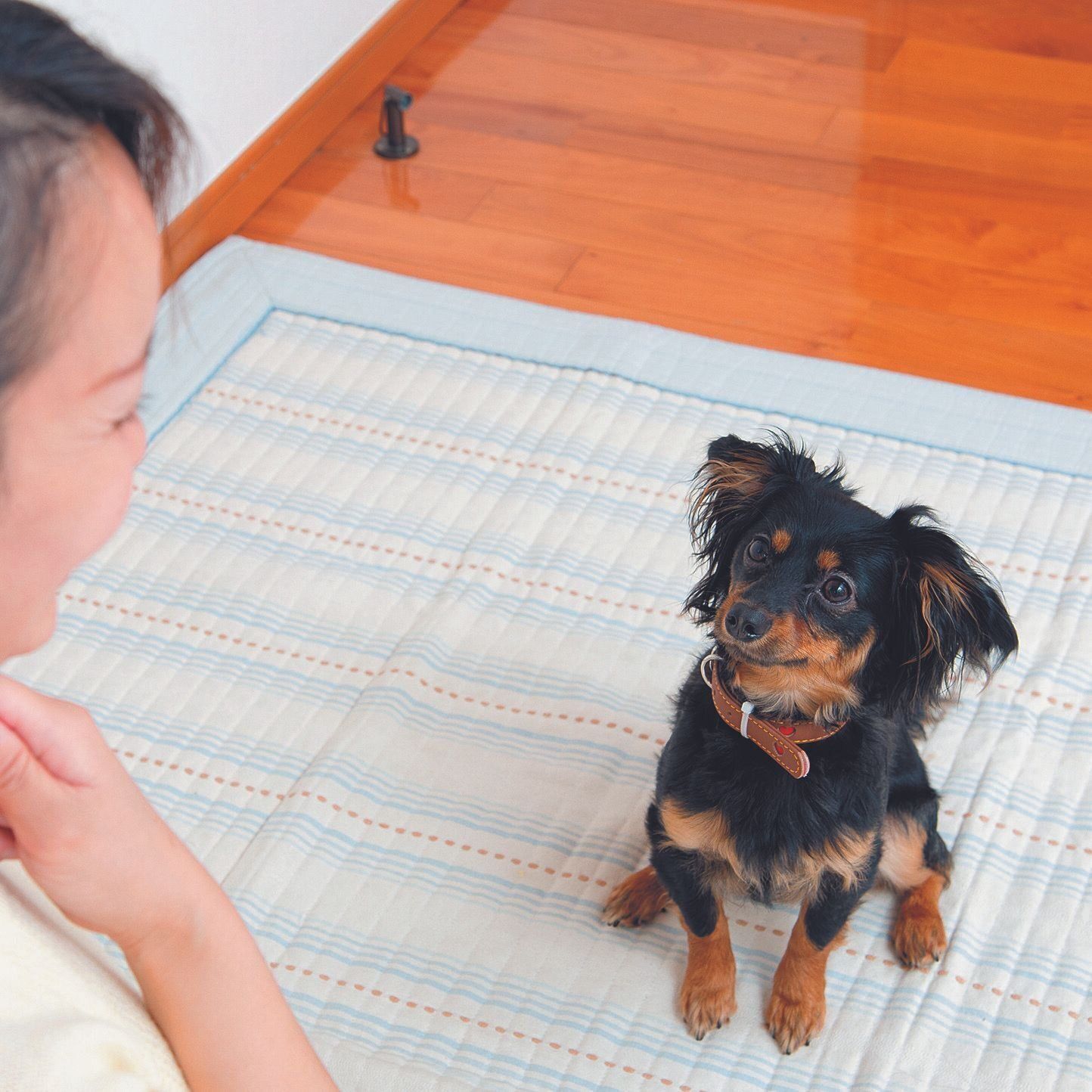名前を呼んで飼い主さんと見つめ合うこと