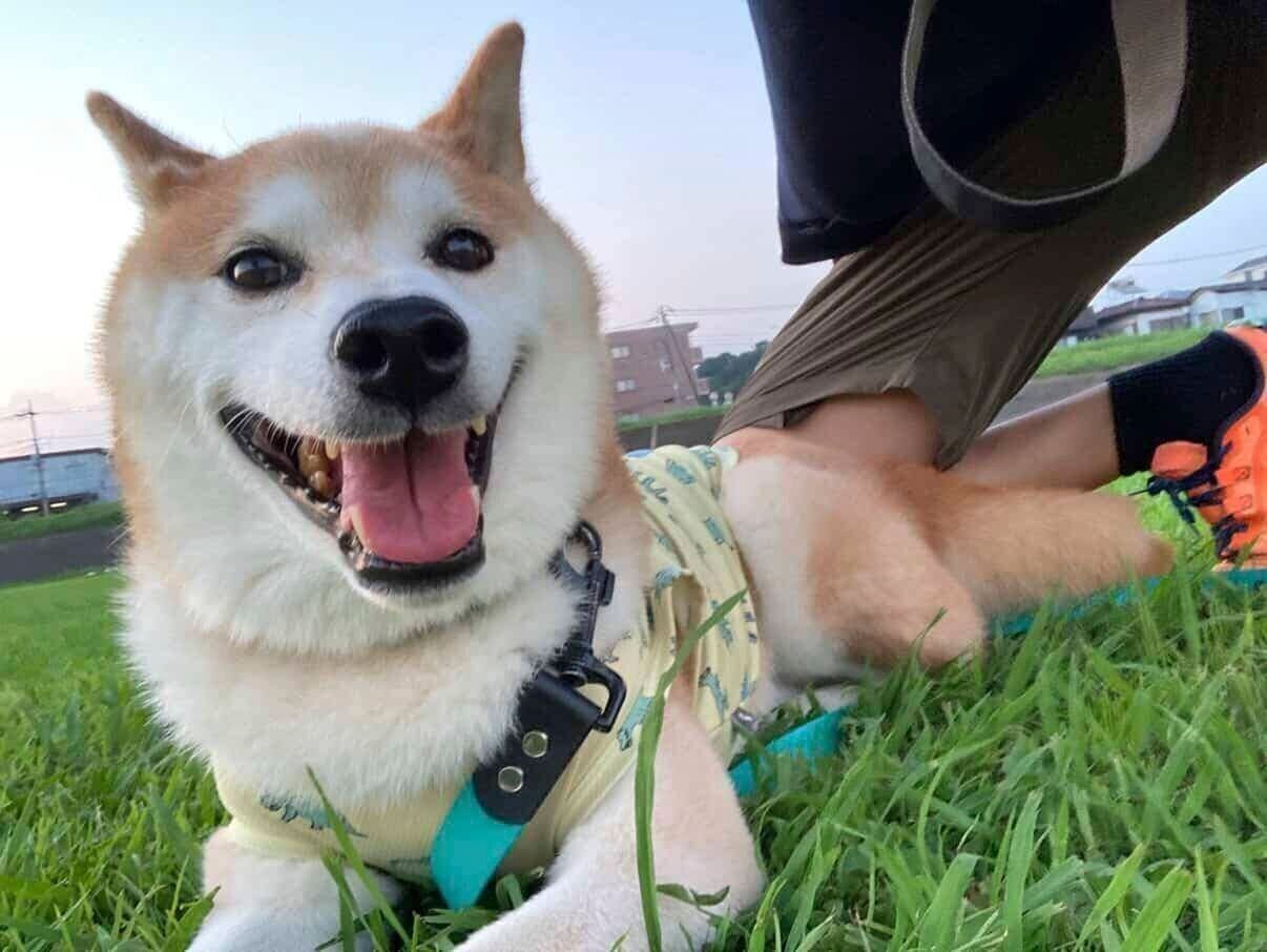 笑顔が可愛い咲ク太郎くん