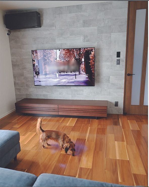 壁がニオイ成分を吸着