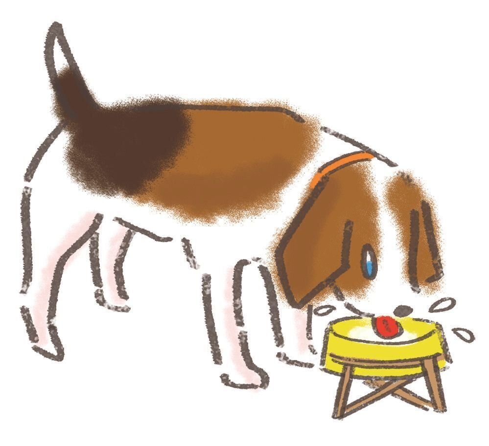 イラスト／セツサチアキ