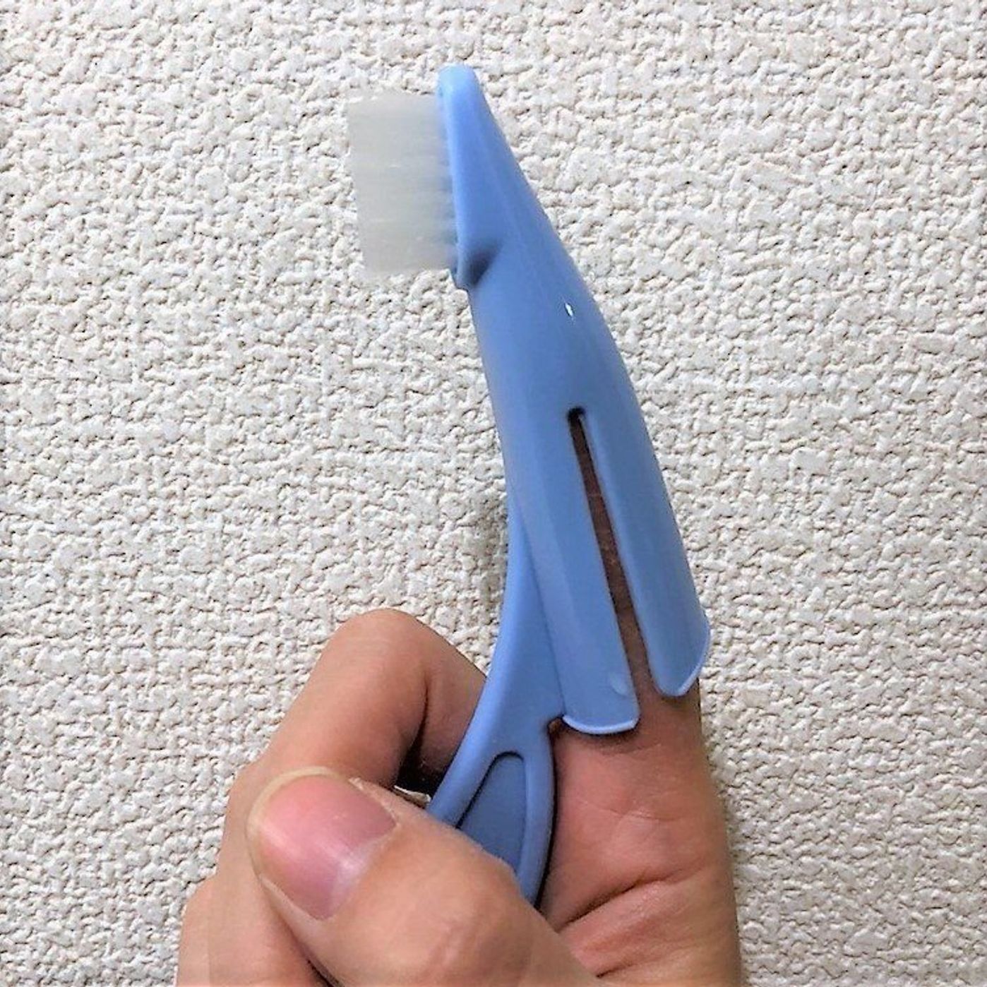 ダイソーの 犬猫用歯ブラシ で愛犬をお手入れ その実力とは いぬのきもちweb Magazine