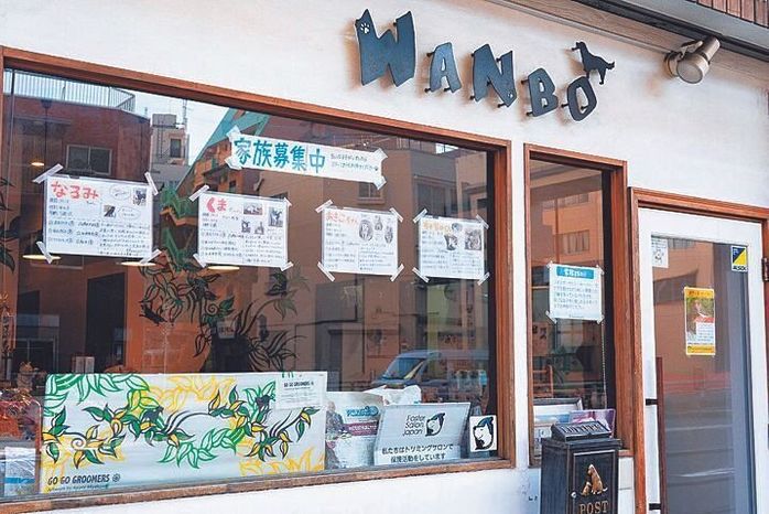 保護犬の情報が貼られたWANBOの入り口