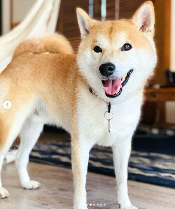 笑顔のなぎまるくん