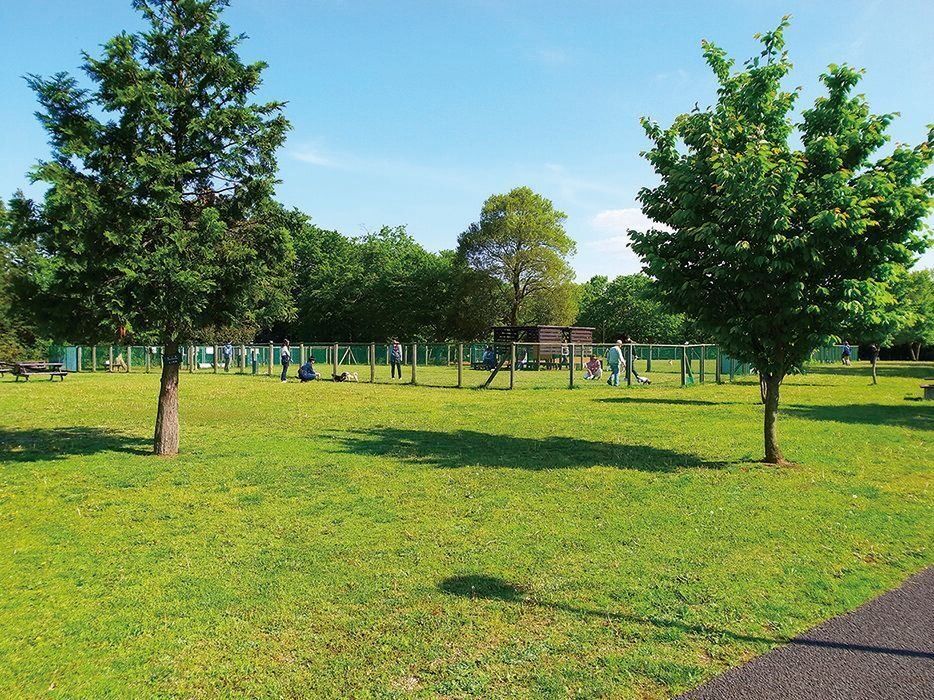青い空が彩る緑のドッグラン