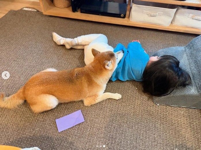 娘さんの体にあご乗せするまるこちゃん