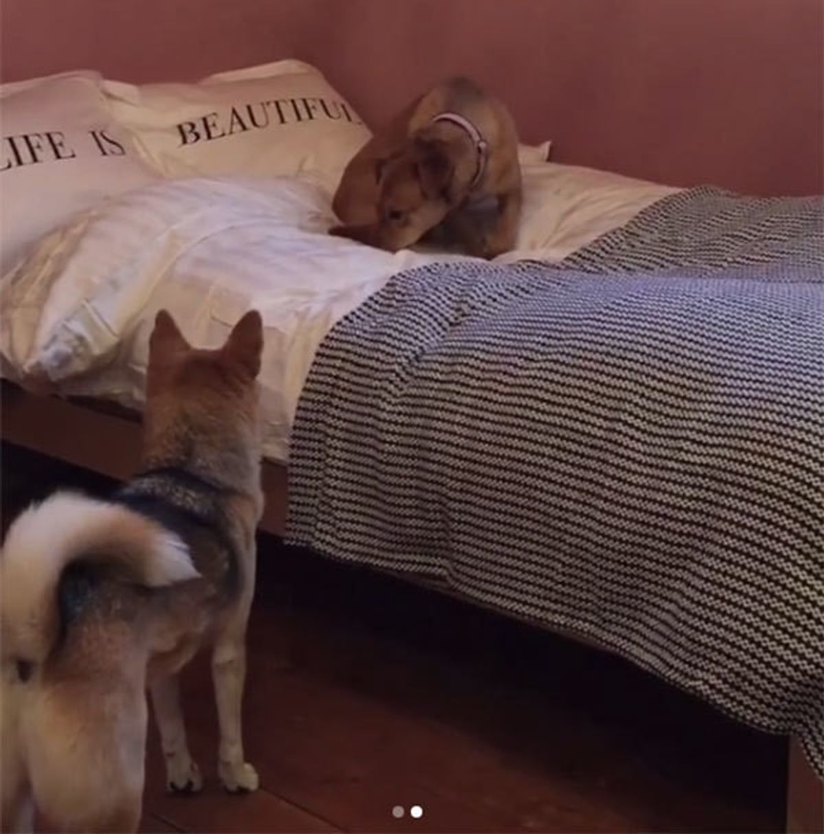 Ovi8im8wj6 Ym Ovi8im8wj6 Ym