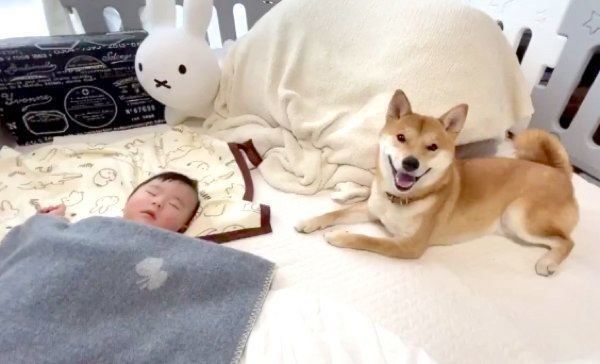 妹ちゃんの子守をするりんご郎くん