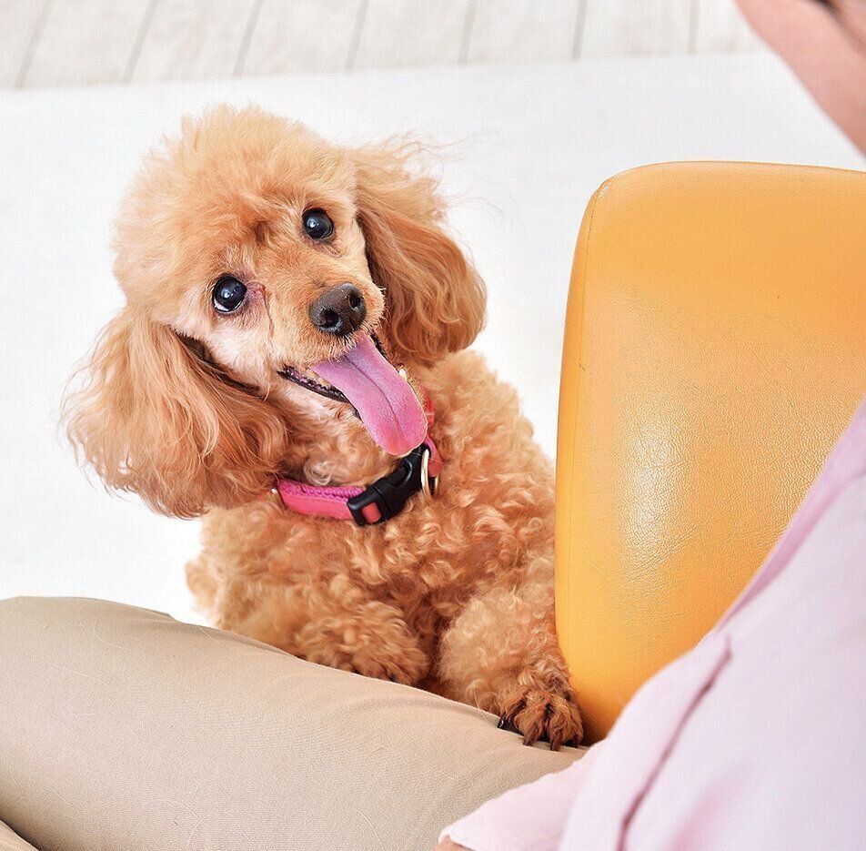 撮影／佐藤正之、尾﨑たまき