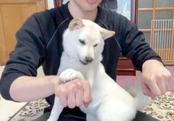 おやつがどっちに入っているのか、当てるゲームをするはるちゃん