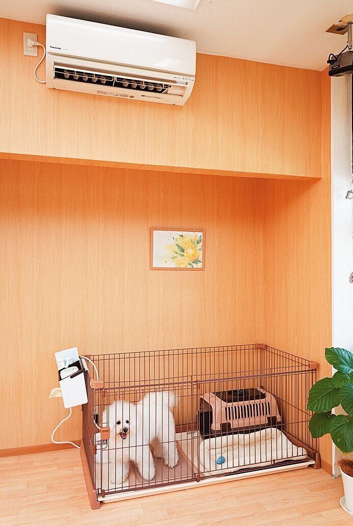 撮影／殿村忠博