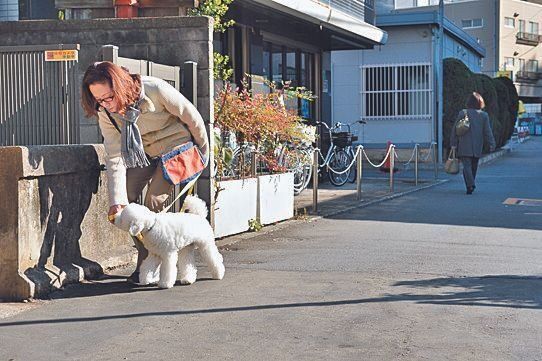 おやつで端に誘導
