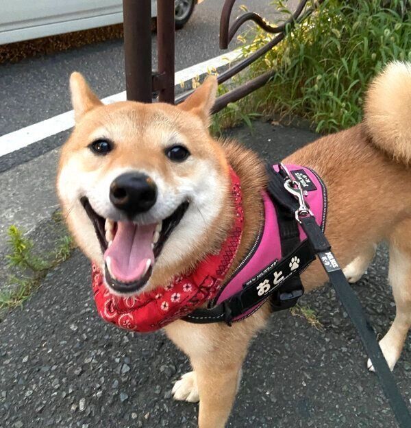 笑顔のおとちゃん