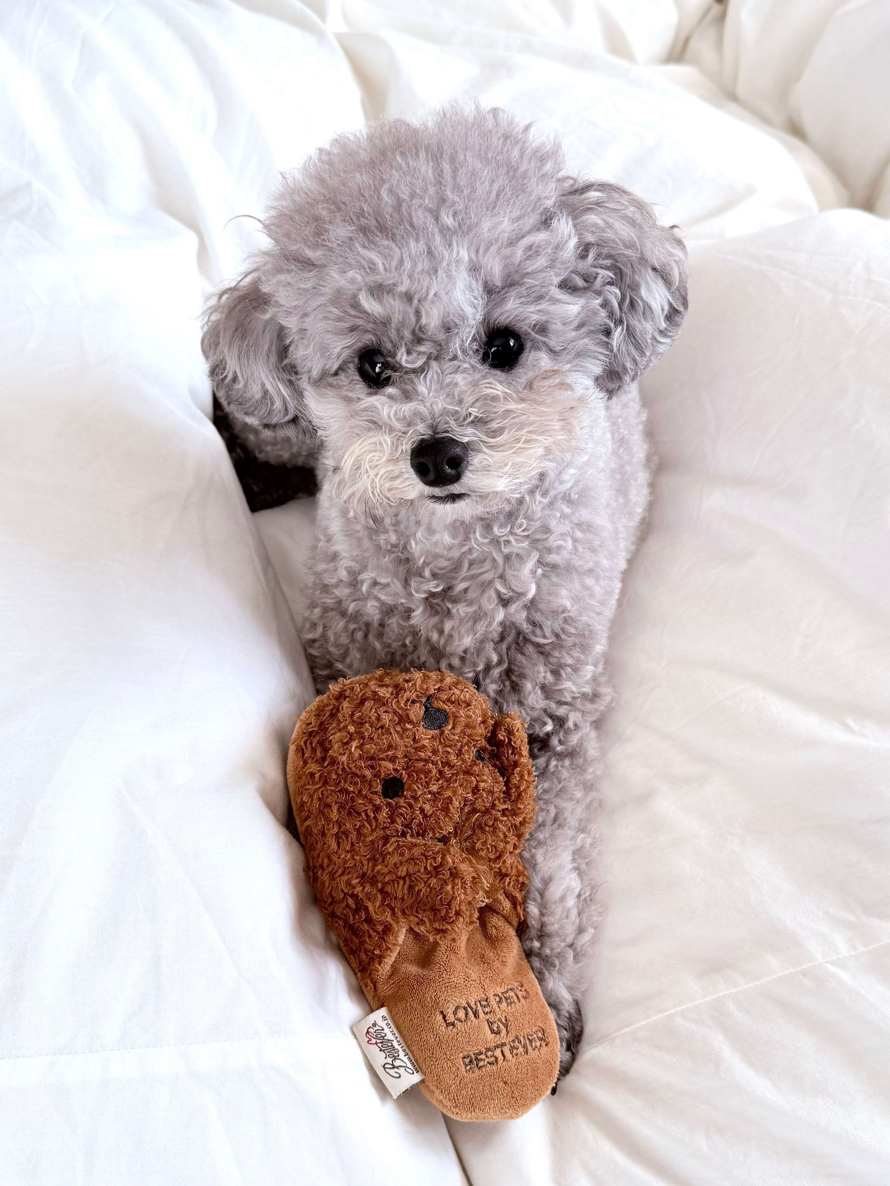 別の日の様子　“起きた瞬間”からかわいいエマちゃん