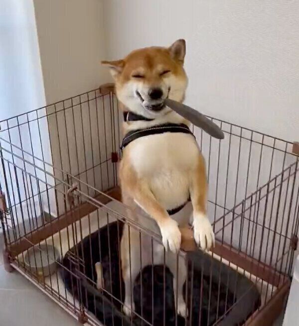 ニコニコ笑顔を見せる雷吾くん