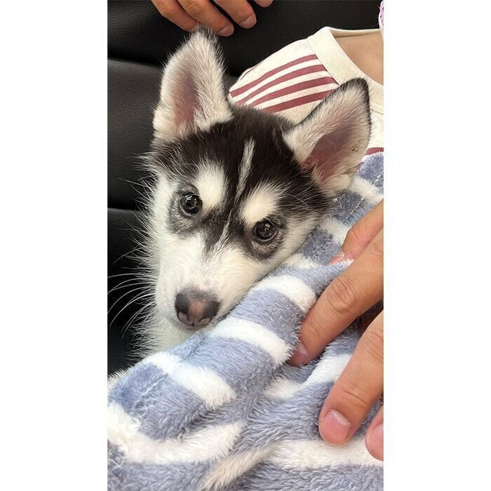 ルーナちゃんと初対面したときに撮った一枚