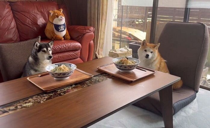 飼い主さんたちの席に座るコンちゃん、ハナちゃん