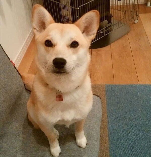 見つめる咲季ちゃん