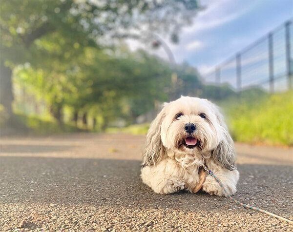 散歩するうーきーちゃん