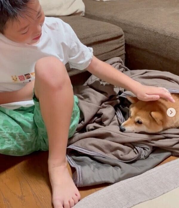 マメちゃんを寝かしつける息子さん