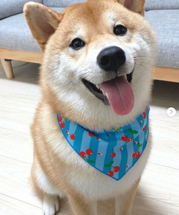 笑顔のじろちゃん