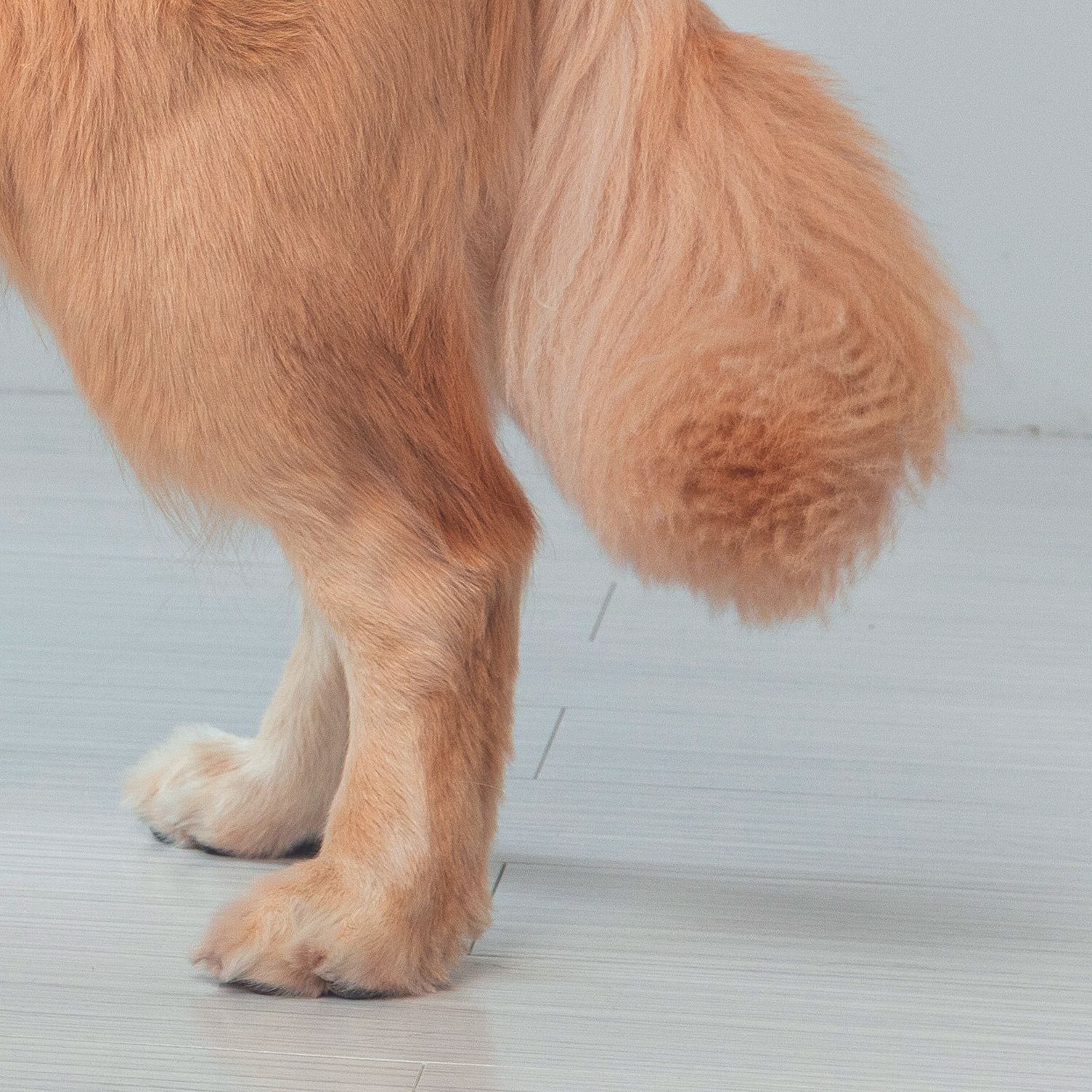 撮影／伊東武志