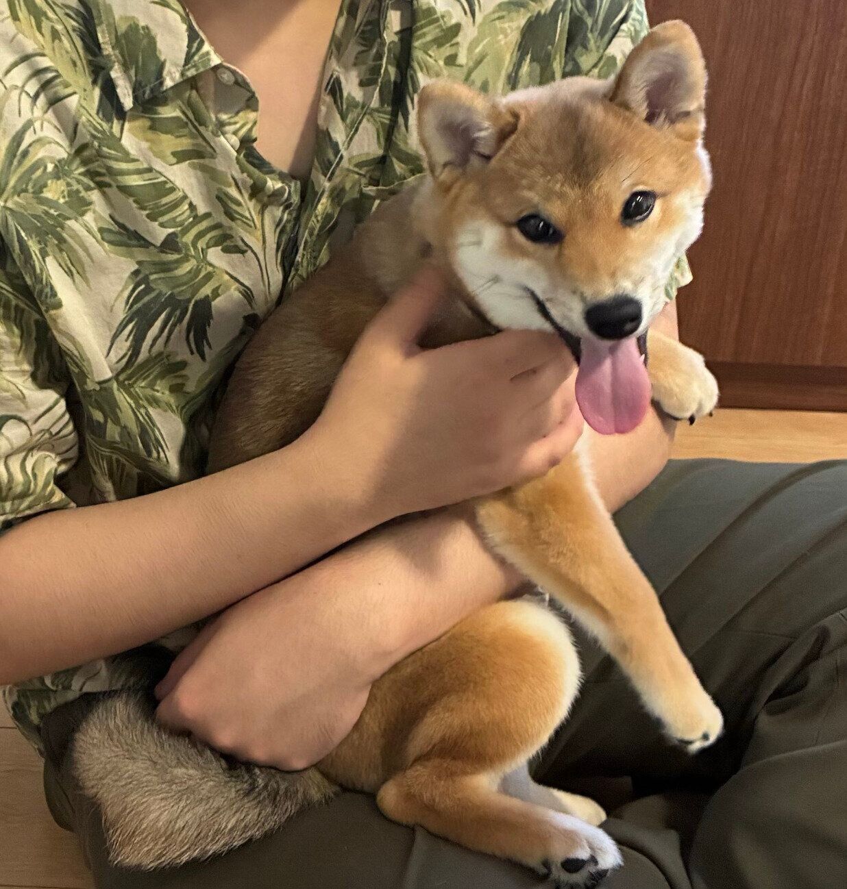 笑顔のなっちゃん