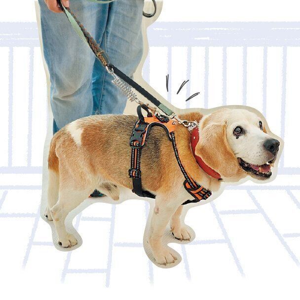 持ち手つきハーネスで歩行をサポート