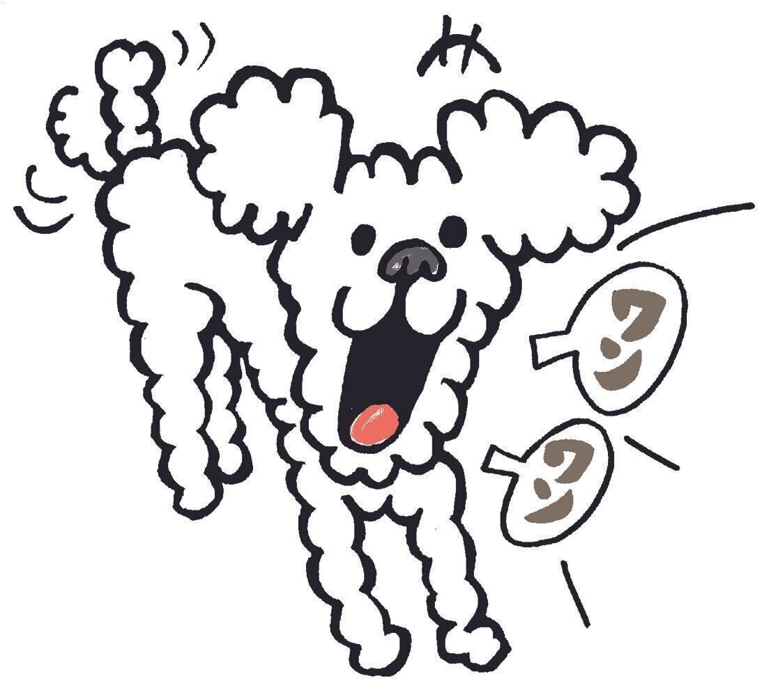 イラスト／野田節美