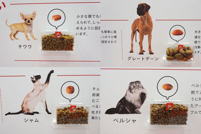 犬種・猫種によるフードの違い