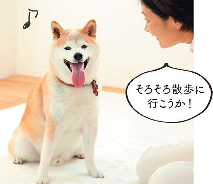 基本の「見て話す」