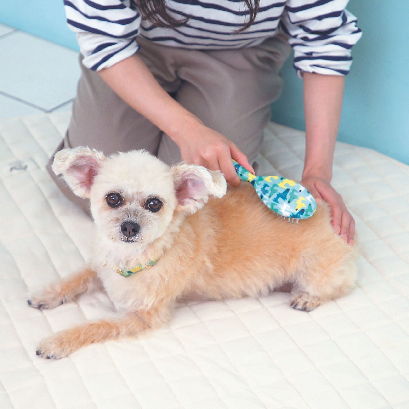 撮影／尾﨑たまき