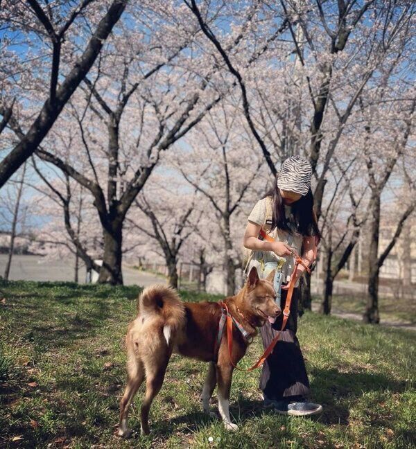 お散歩を楽しむソイちゃん