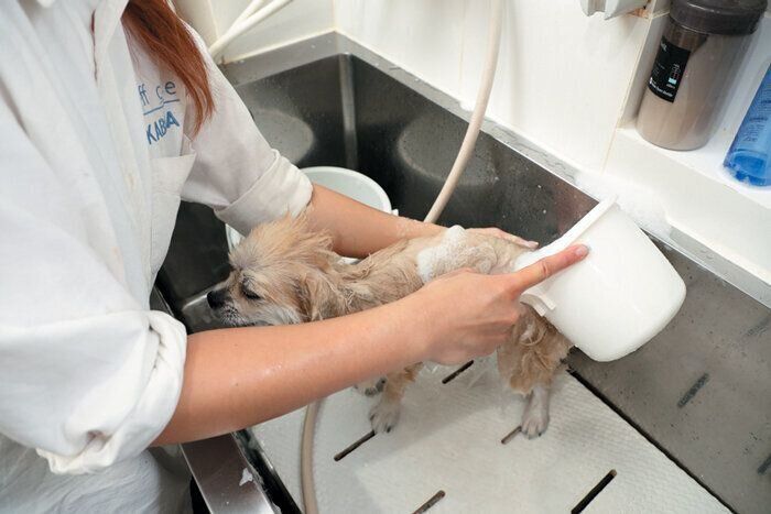 リンス液で流して