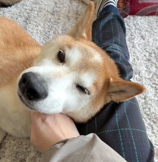 甘える咲ク太郎くん