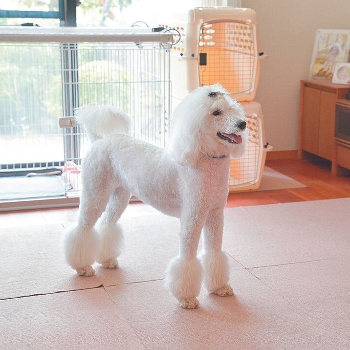 撮影／犬丸美絵