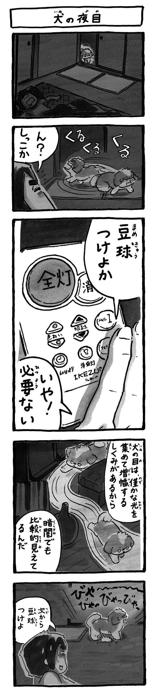 シーズー犬マンガてんぽshihtzu