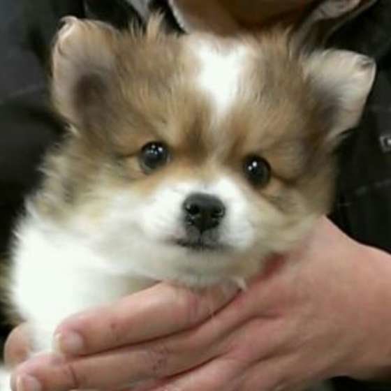 初めての出会い