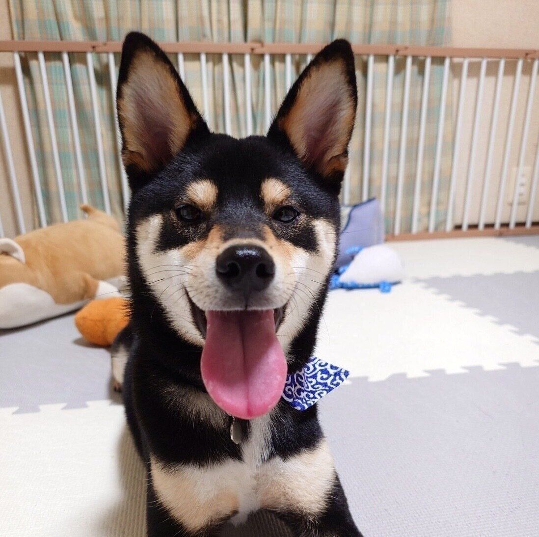 笑顔が可愛いこたろーくん